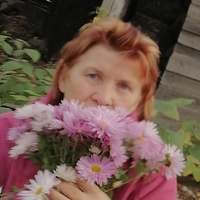 Татьяна Куликова, 64 года, Сокол, Россия