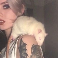 Mia-Fluffy Hamster